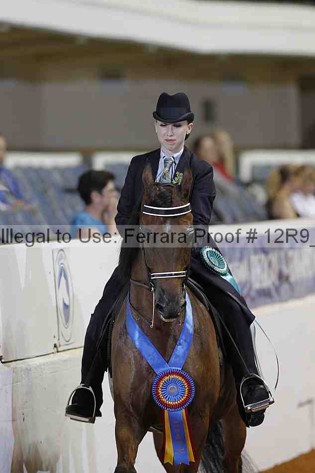 Proof Number 12r9_6391