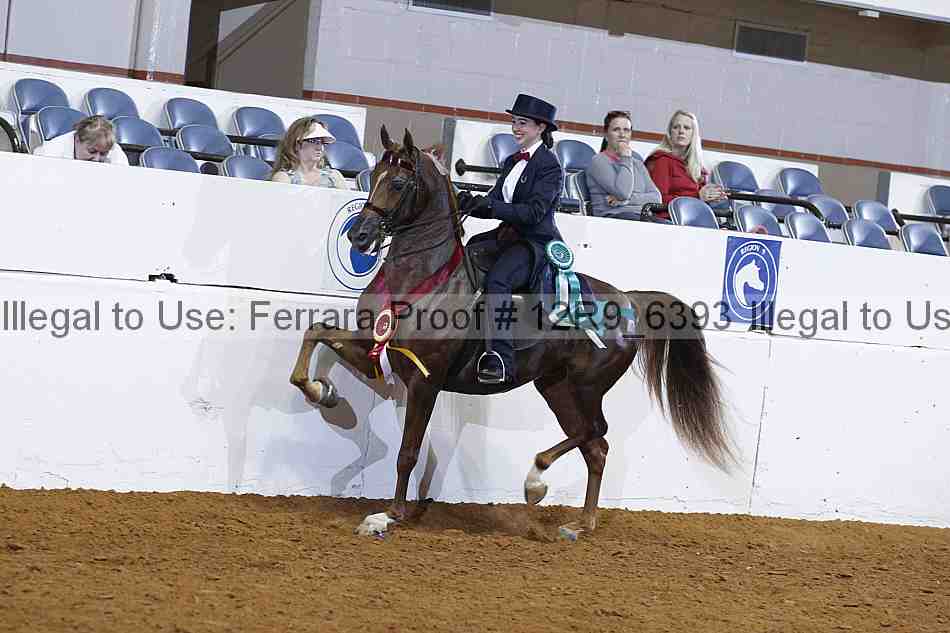 Proof Number 12r9_6393