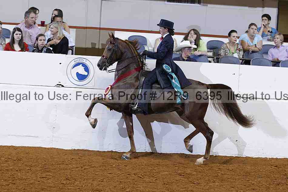Proof Number 12r9_6395
