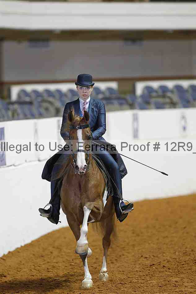 Proof Number 12r9_6434