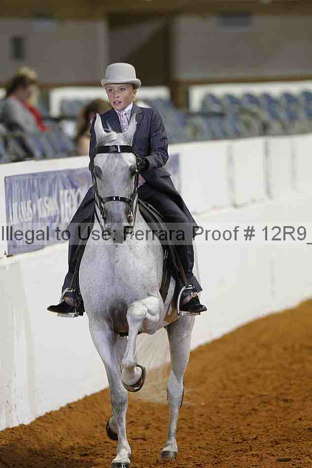 Proof Number 12r9_6435