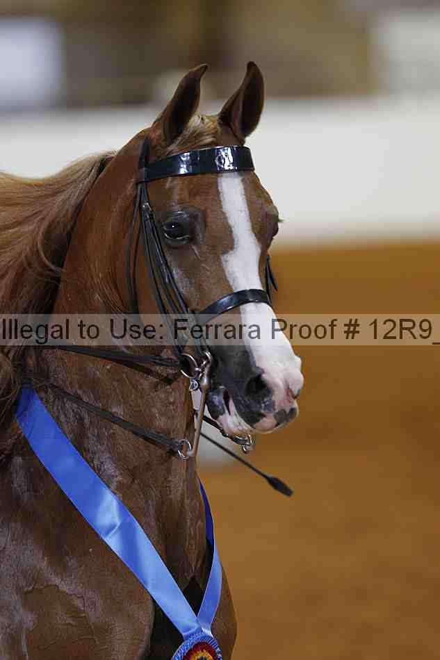 Proof Number 12r9_6445