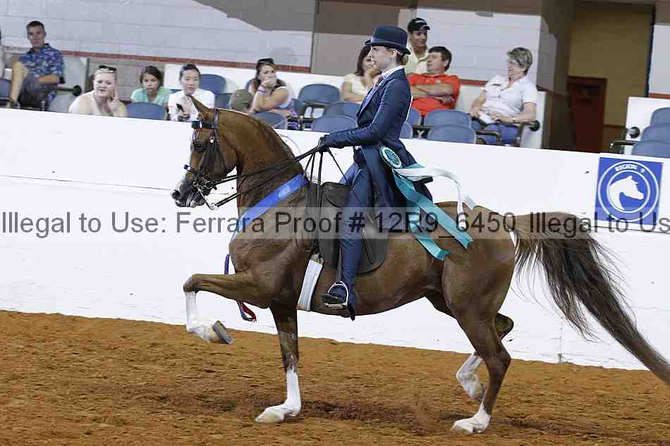 Proof Number 12r9_6450