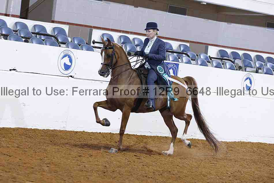 Proof Number 12r9_6648