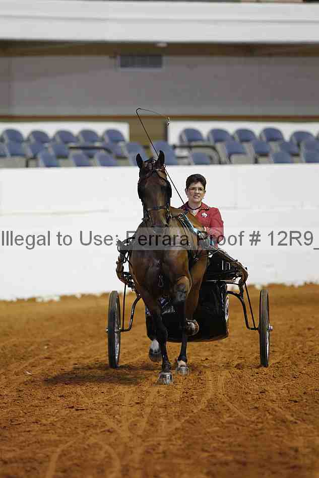 Proof Number 12r9_6703