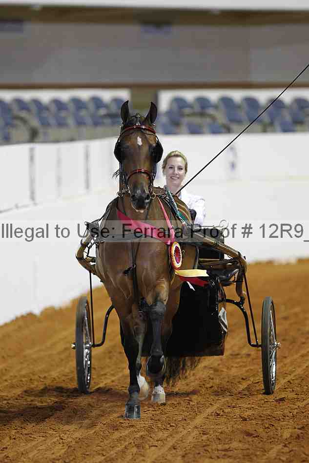 Proof Number 12r9_6713