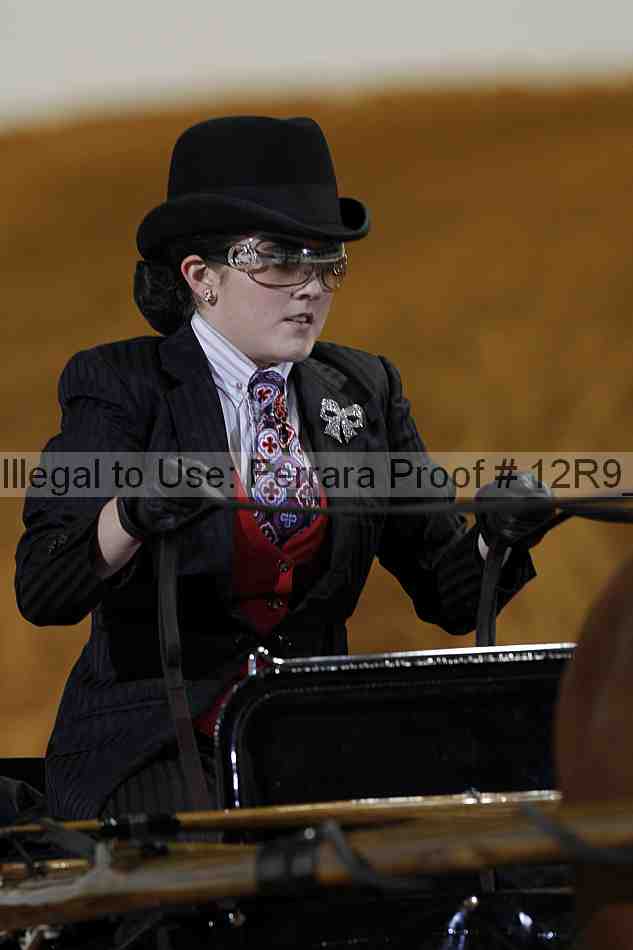 Proof Number 12r9_6717