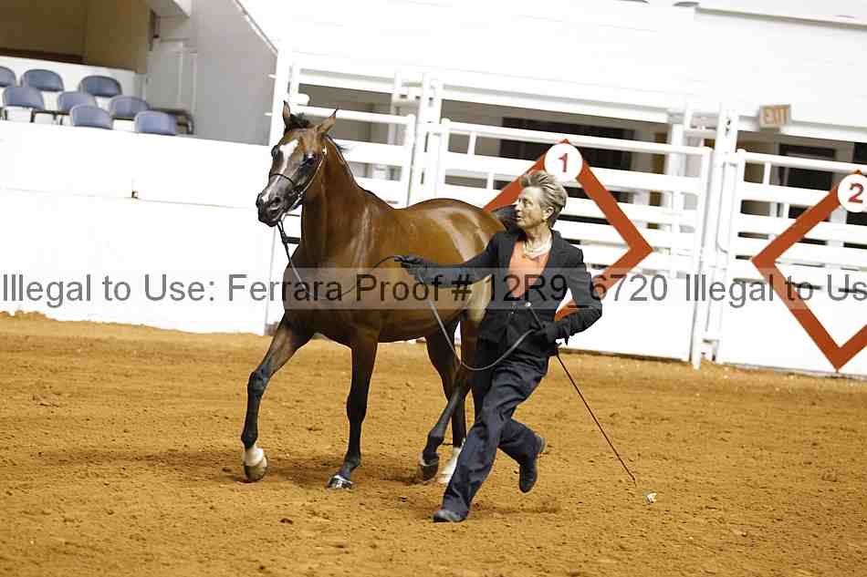 Proof Number 12r9_6720