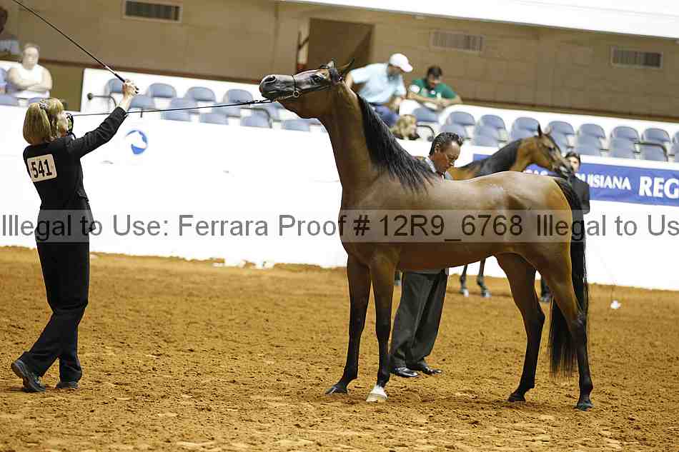Proof Number 12r9_6768
