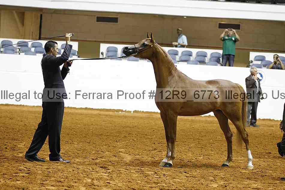 Proof Number 12r9_6773