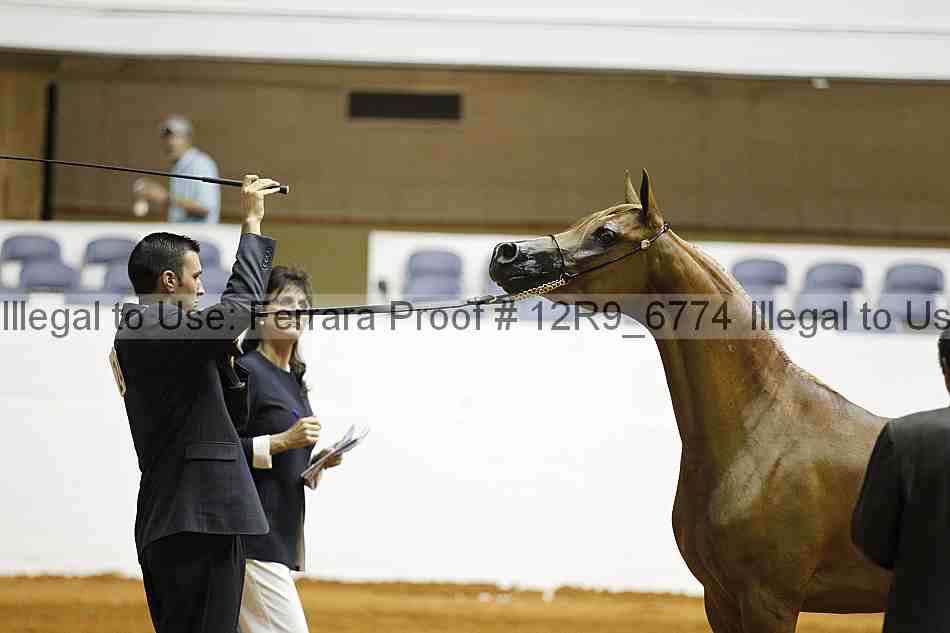 Proof Number 12r9_6774