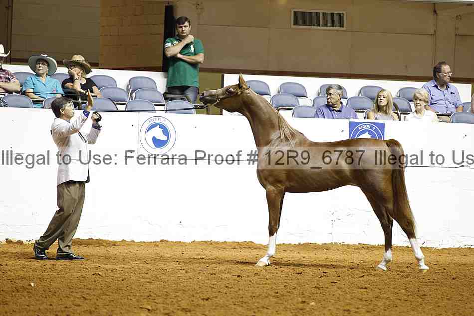 Proof Number 12r9_6787