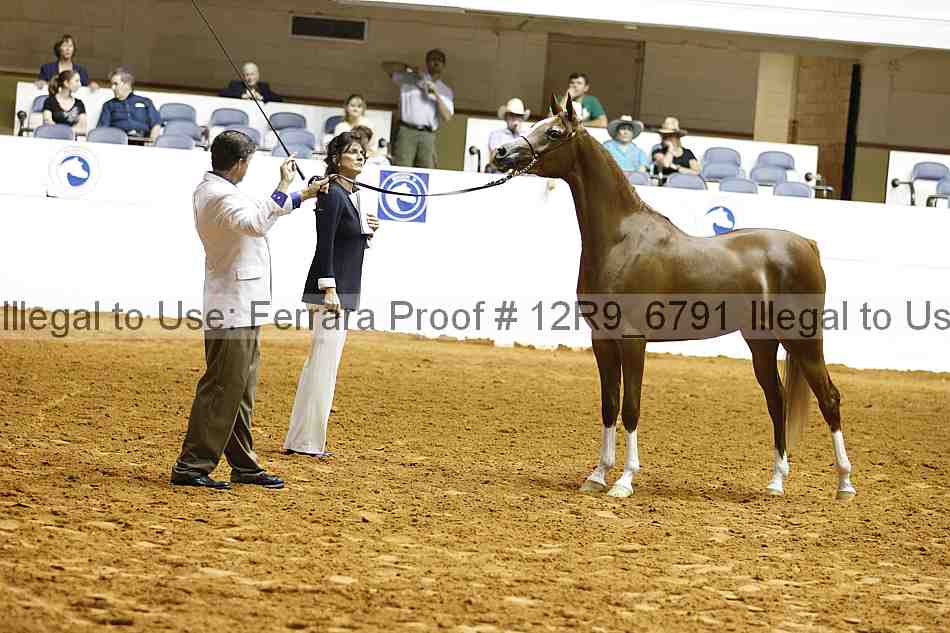 Proof Number 12r9_6791