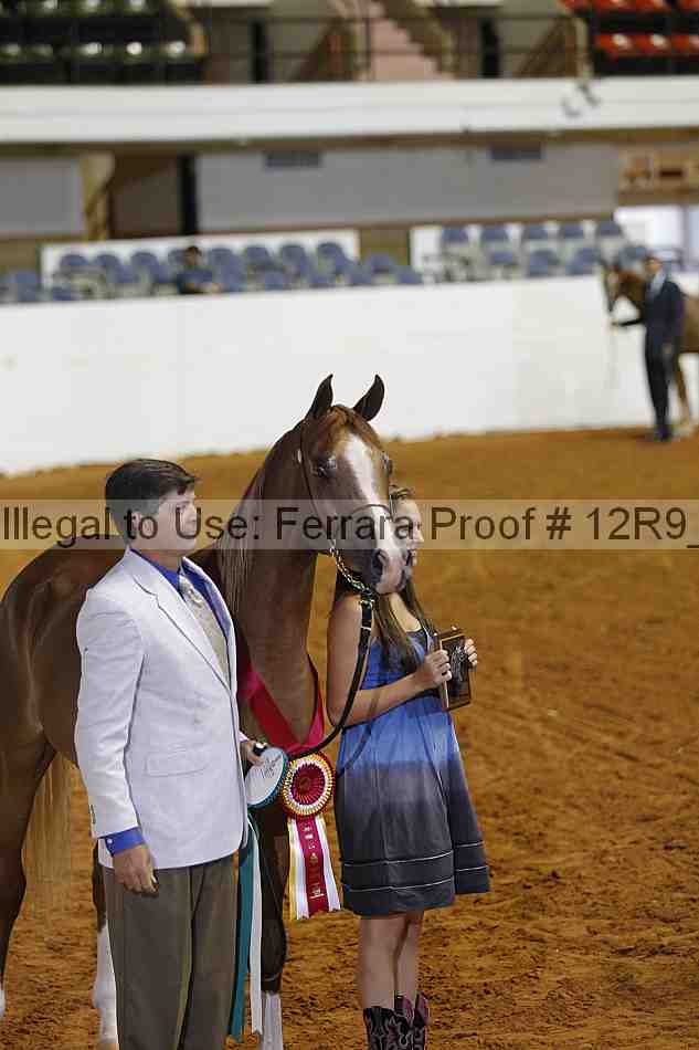 Proof Number 12r9_6809