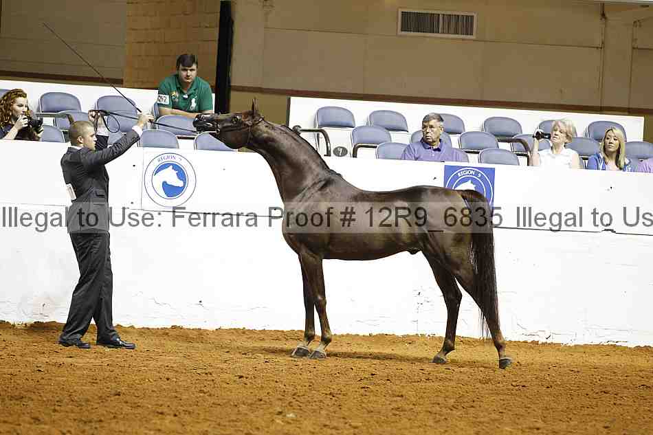 Proof Number 12r9_6835