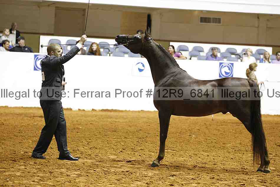 Proof Number 12r9_6841
