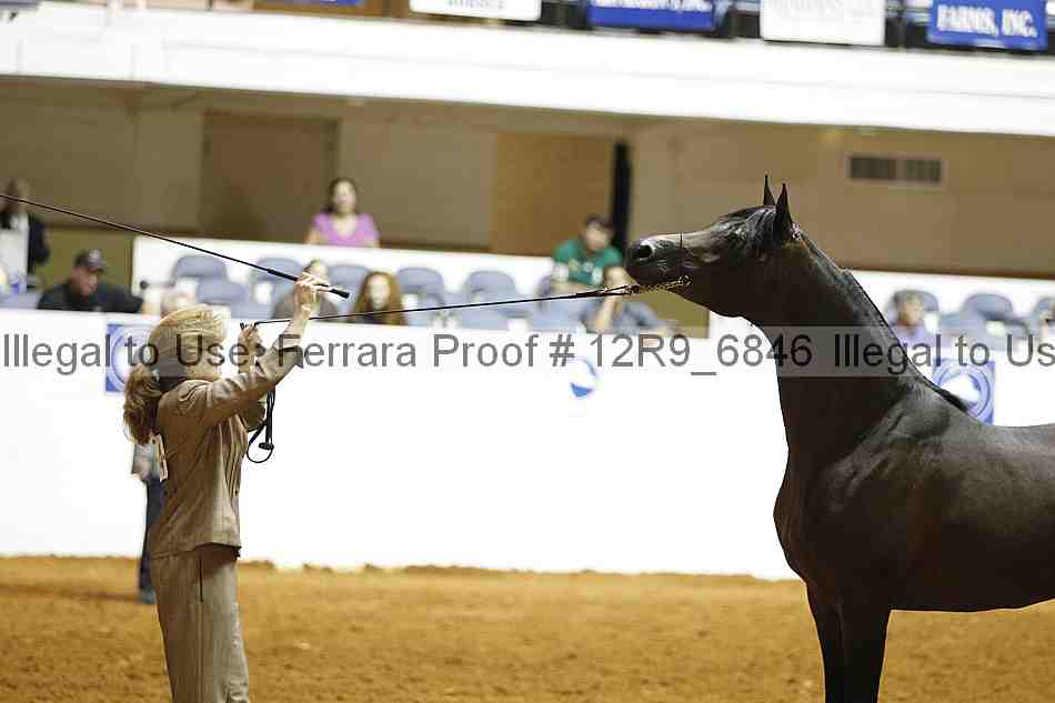 Proof Number 12r9_6846