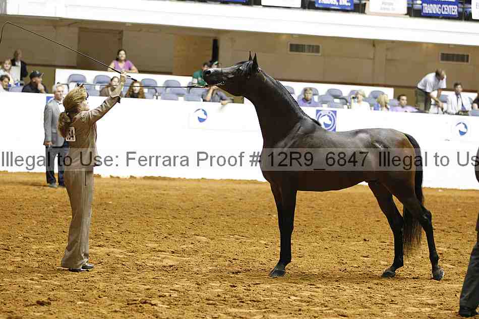 Proof Number 12r9_6847