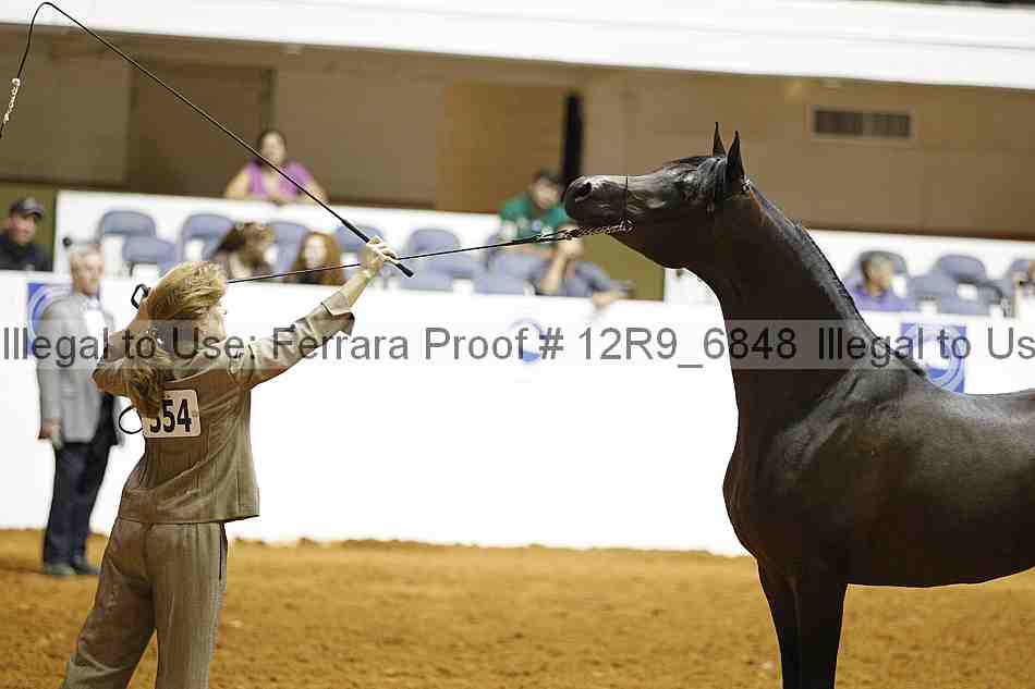 Proof Number 12r9_6848