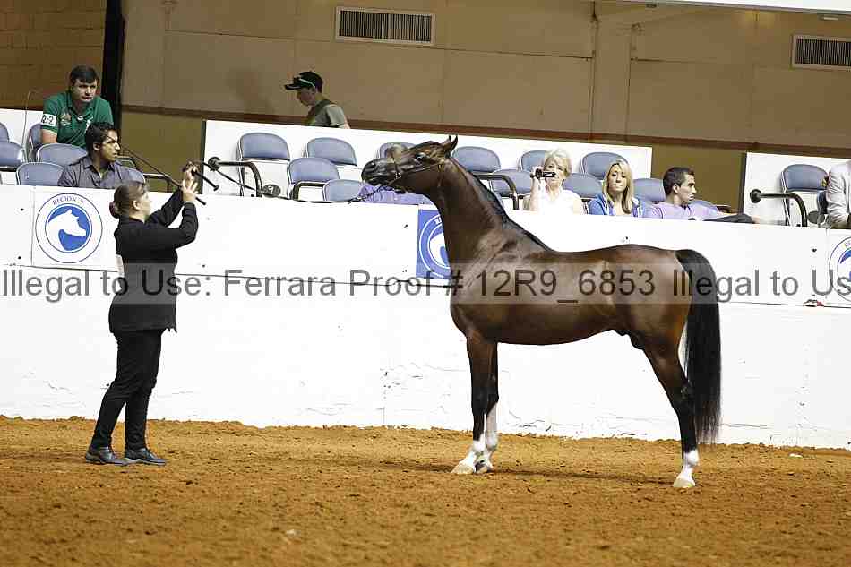 Proof Number 12r9_6853