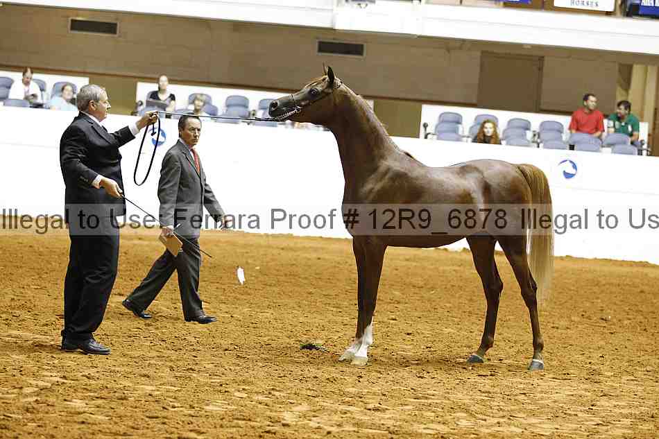 Proof Number 12r9_6878