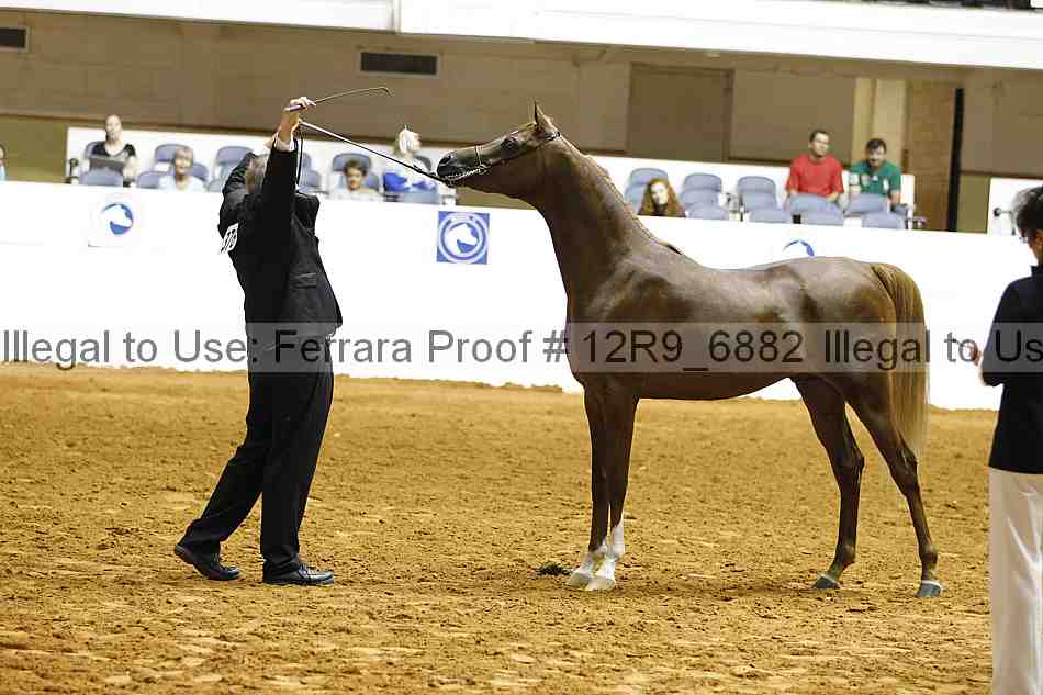 Proof Number 12r9_6882
