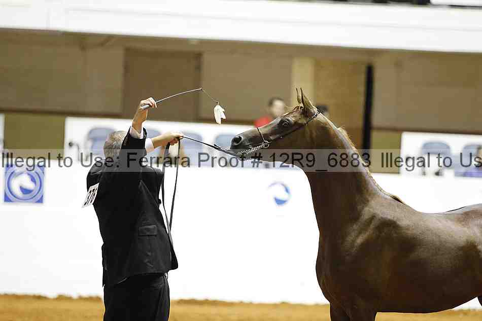 Proof Number 12r9_6883