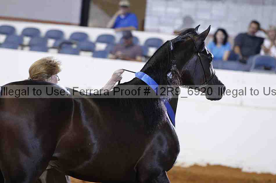 Proof Number 12r9_6920