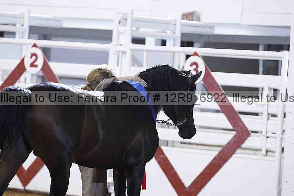 Proof Number 12r9_6922