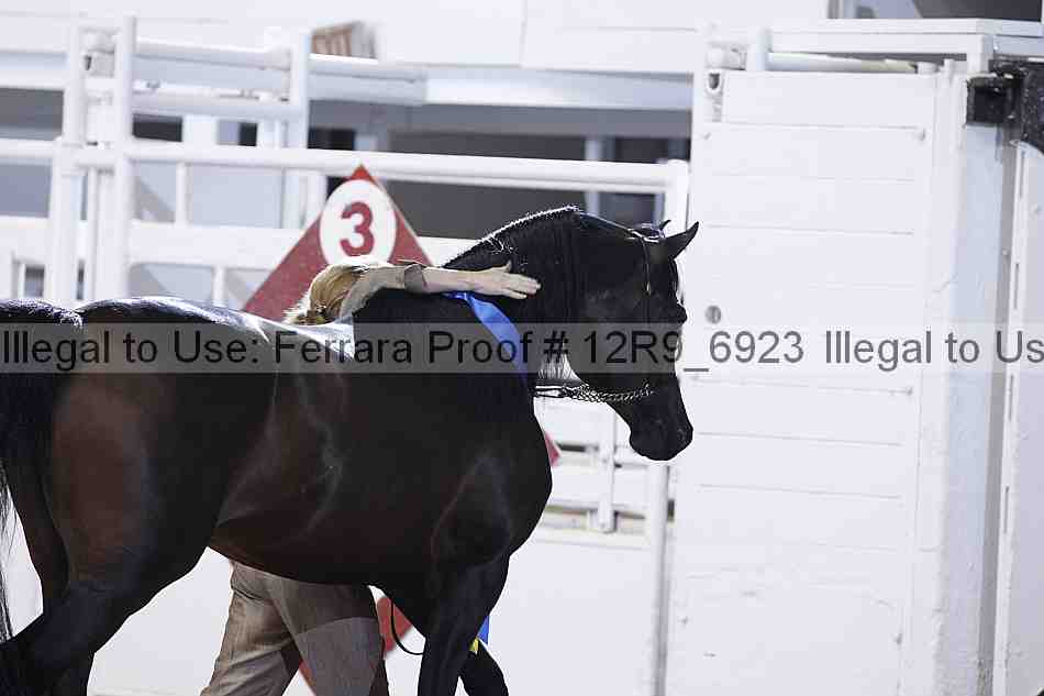 Proof Number 12r9_6923