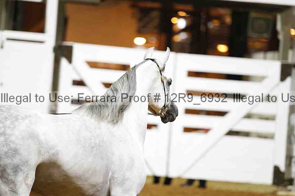Proof Number 12r9_6932