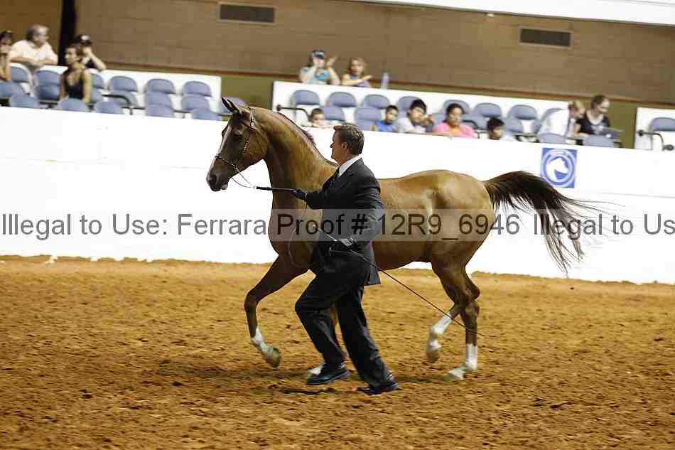 Proof Number 12r9_6946