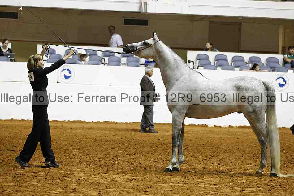 Proof Number 12r9_6953