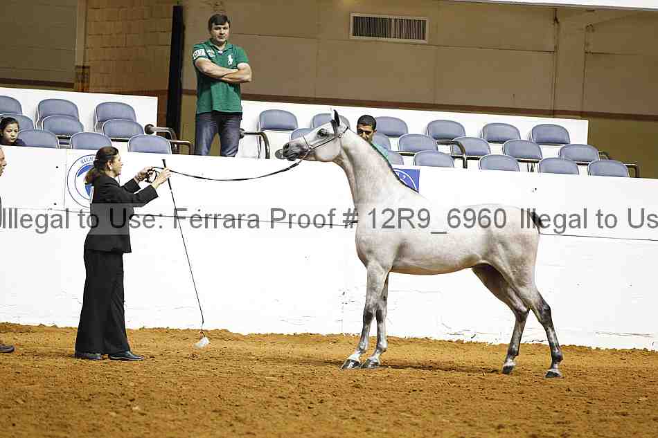 Proof Number 12r9_6960