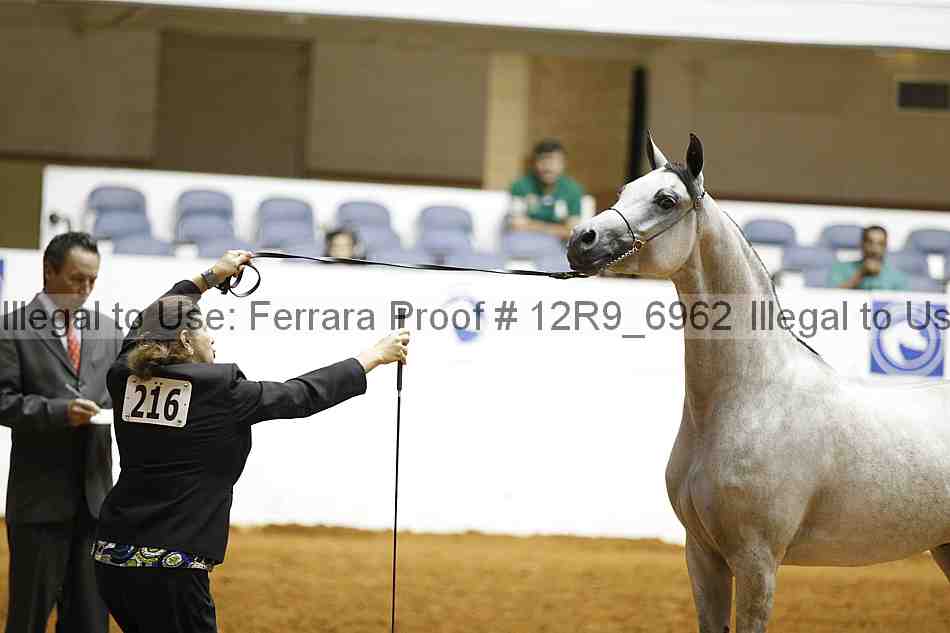 Proof Number 12r9_6962
