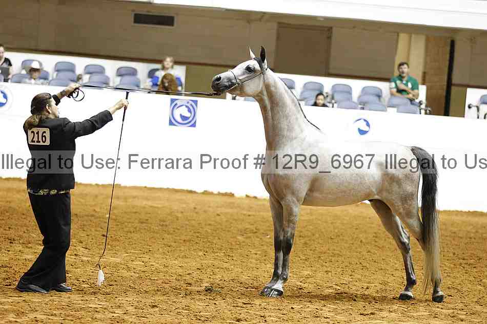Proof Number 12r9_6967