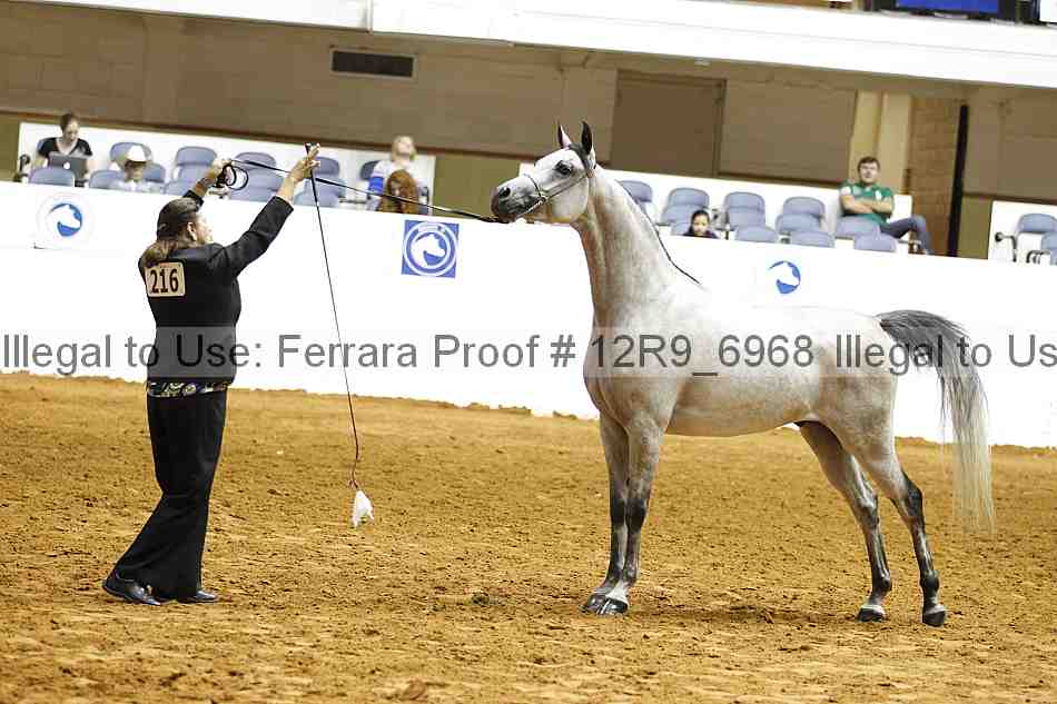 Proof Number 12r9_6968