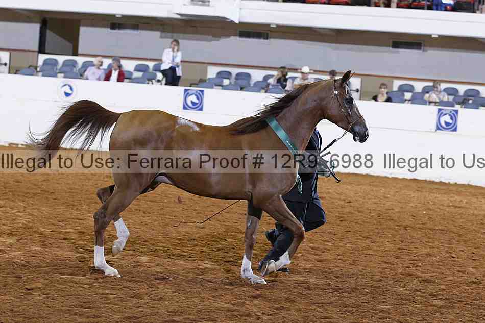 Proof Number 12r9_6988