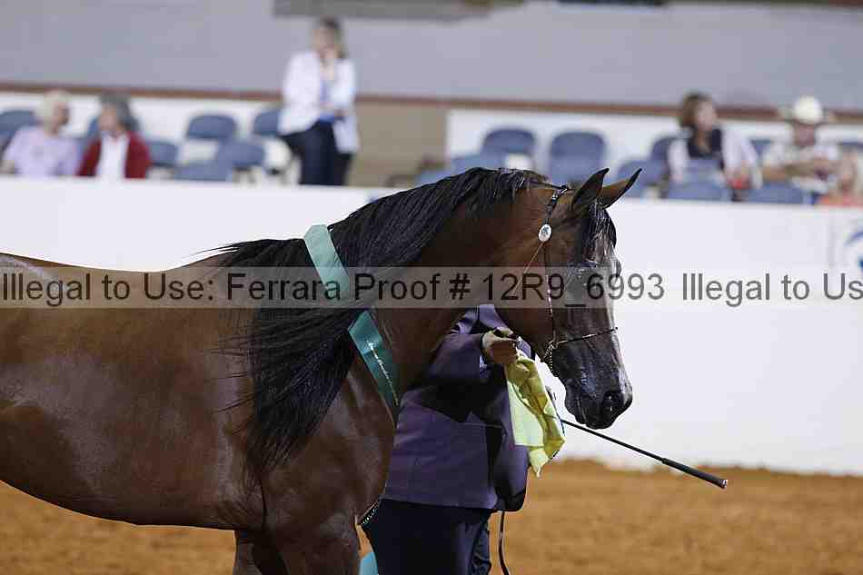 Proof Number 12r9_6993