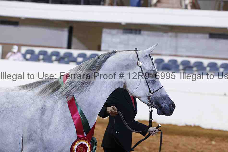 Proof Number 12r9_6995
