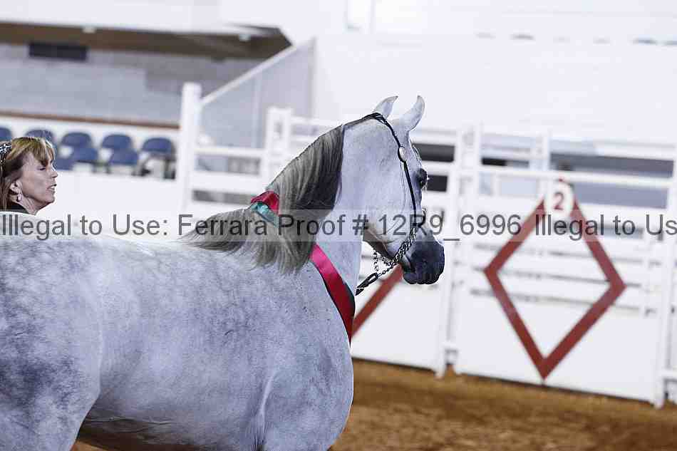 Proof Number 12r9_6996