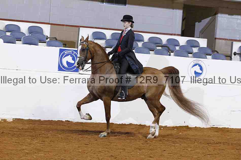Proof Number 12r9_7107