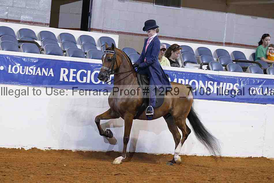 Proof Number 12r9_7108
