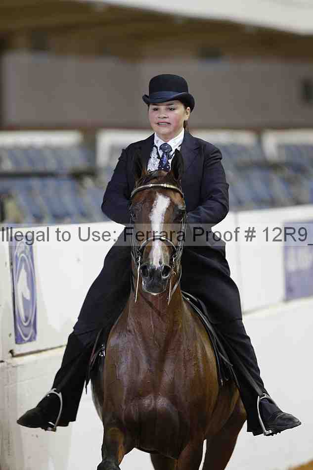Proof Number 12r9_7118