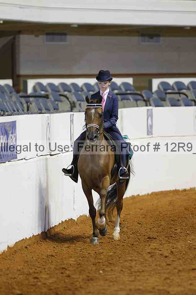 Proof Number 12r9_7140