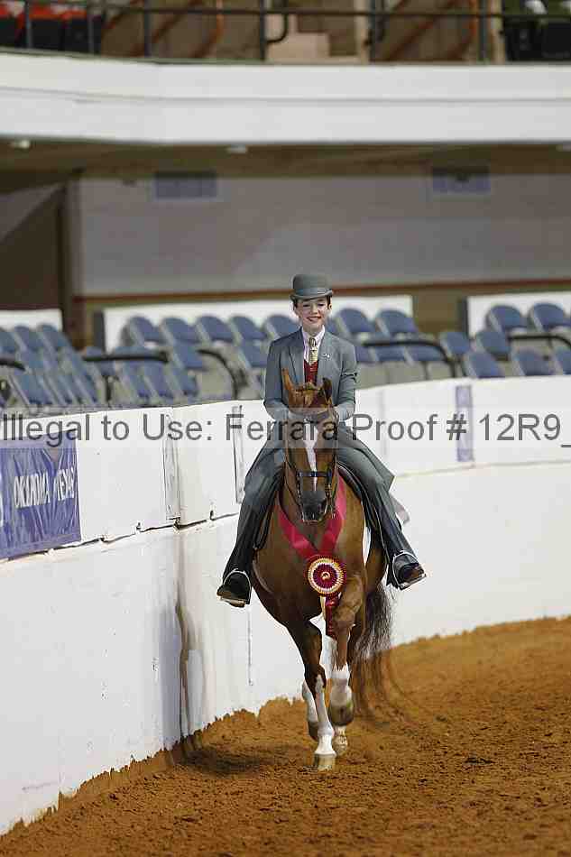 Proof Number 12r9_7151