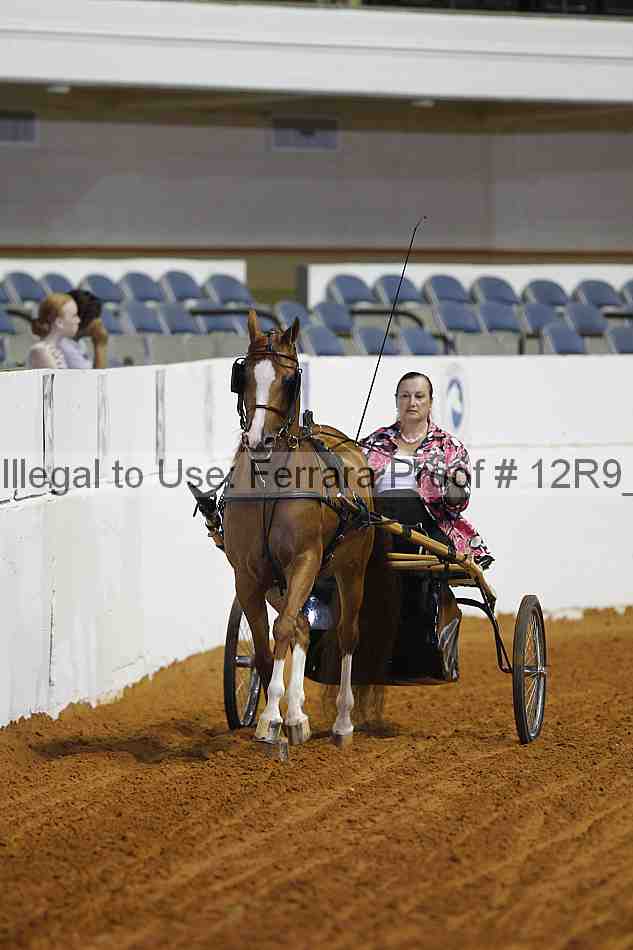 Proof Number 12r9_7169