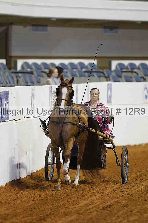 Proof Number 12r9_7171