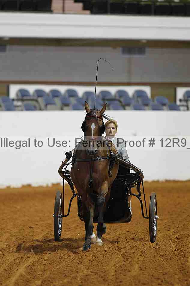 Proof Number 12r9_7174