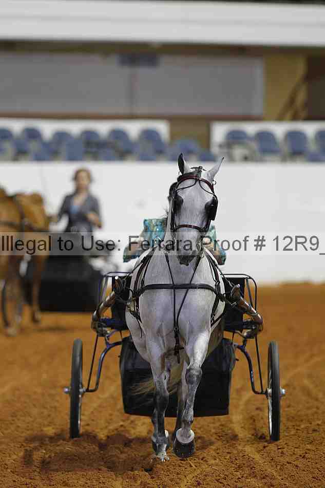 Proof Number 12r9_7177